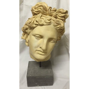Bust - Sculpted Head Suspended on Stone Base-Sculpture-Antique Warehouse