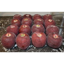 Load image into Gallery viewer, Vintage Artisan Red Apples - Set of 3-Decorative-Antique Warehouse